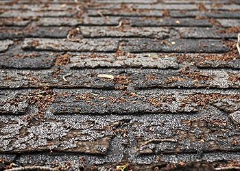 AT Roofing Images